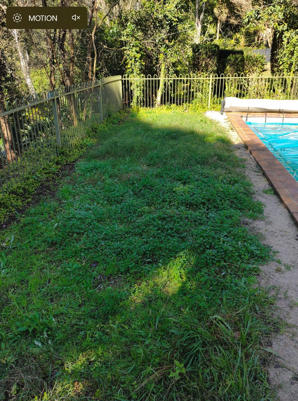 Photo for Looking for recommendation to lay new lawn