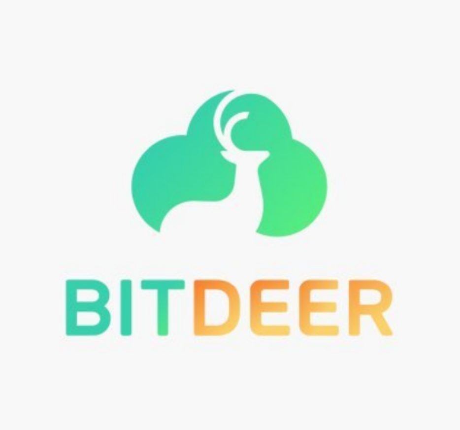 Crypto and AI - What can go wrong/right ? - Bitdeer BTDR US