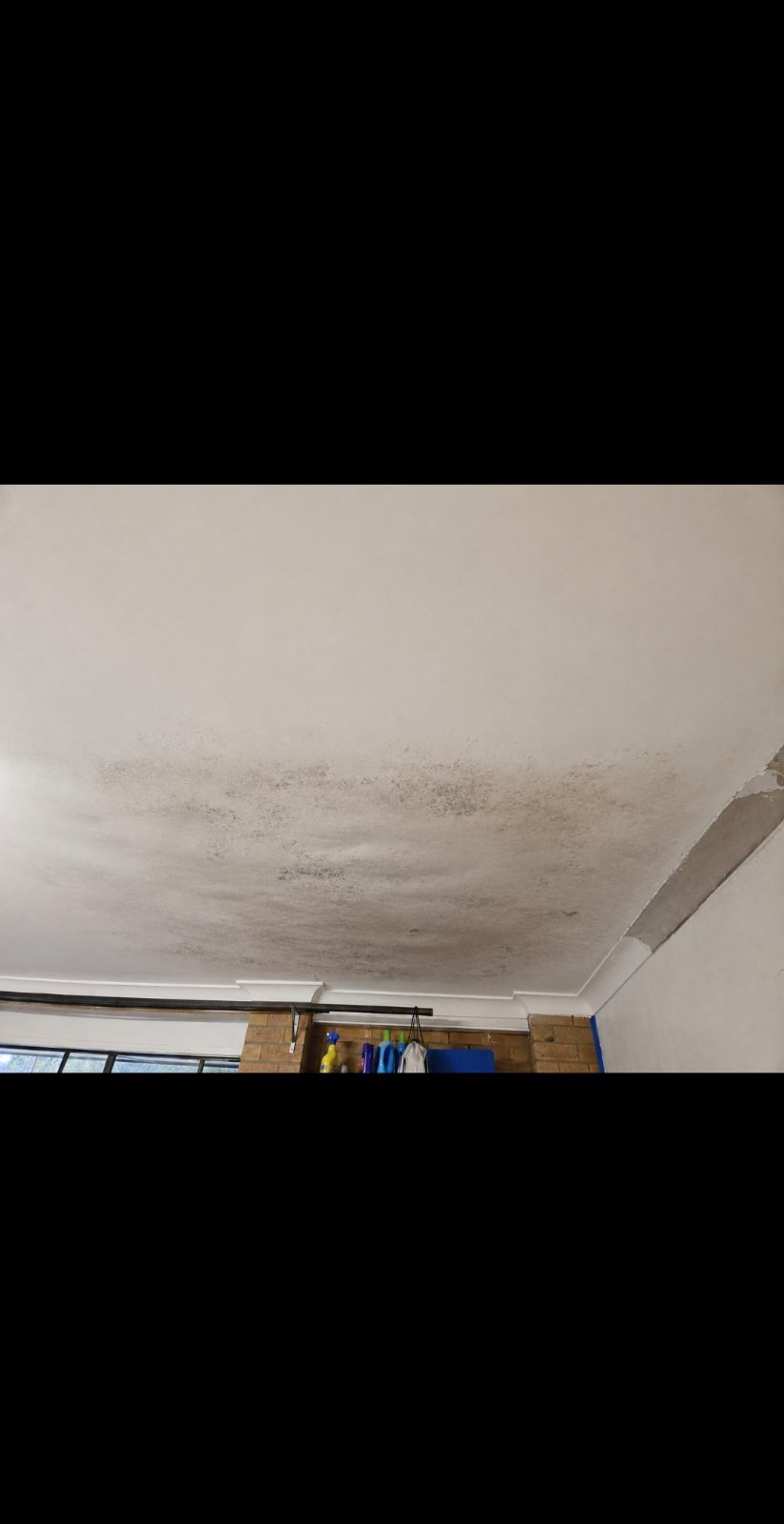 River – A Trusted Carpenter for Roofing & Plastering